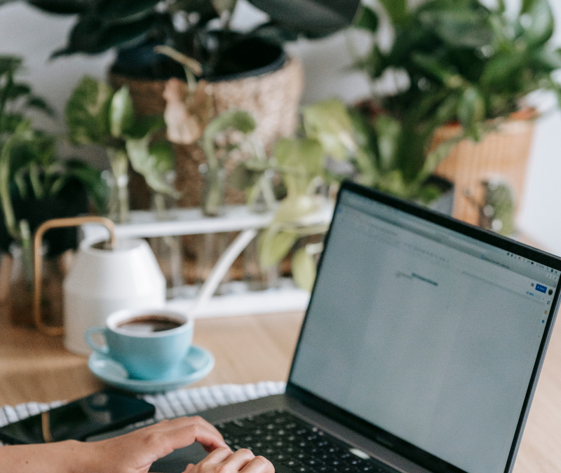 Do You Really Need a Website? A Short Guide for Confused Solopreneurs 